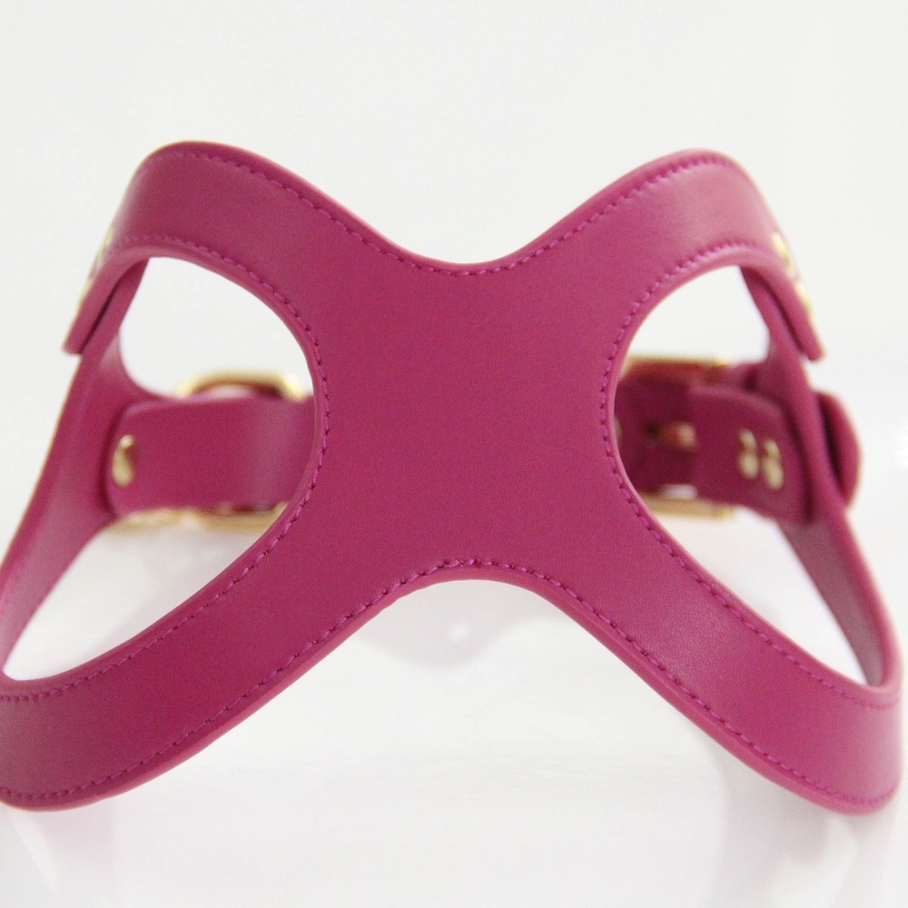 To Beg for Accessories and Treats Premium Vegan Dog Harness Size Large
